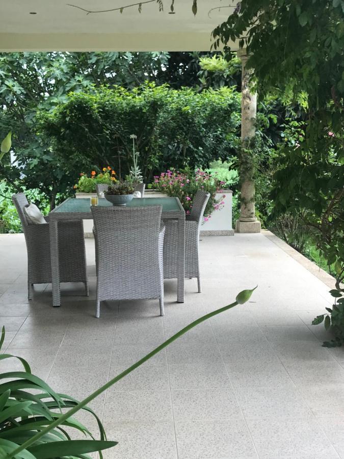 ギマランイス Camelias Bed & Breakfast エクステリア 写真