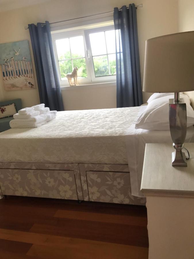 ギマランイス Camelias Bed & Breakfast エクステリア 写真